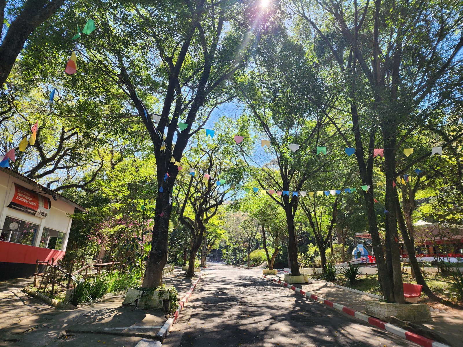 Parque das Hortênsias - área verde