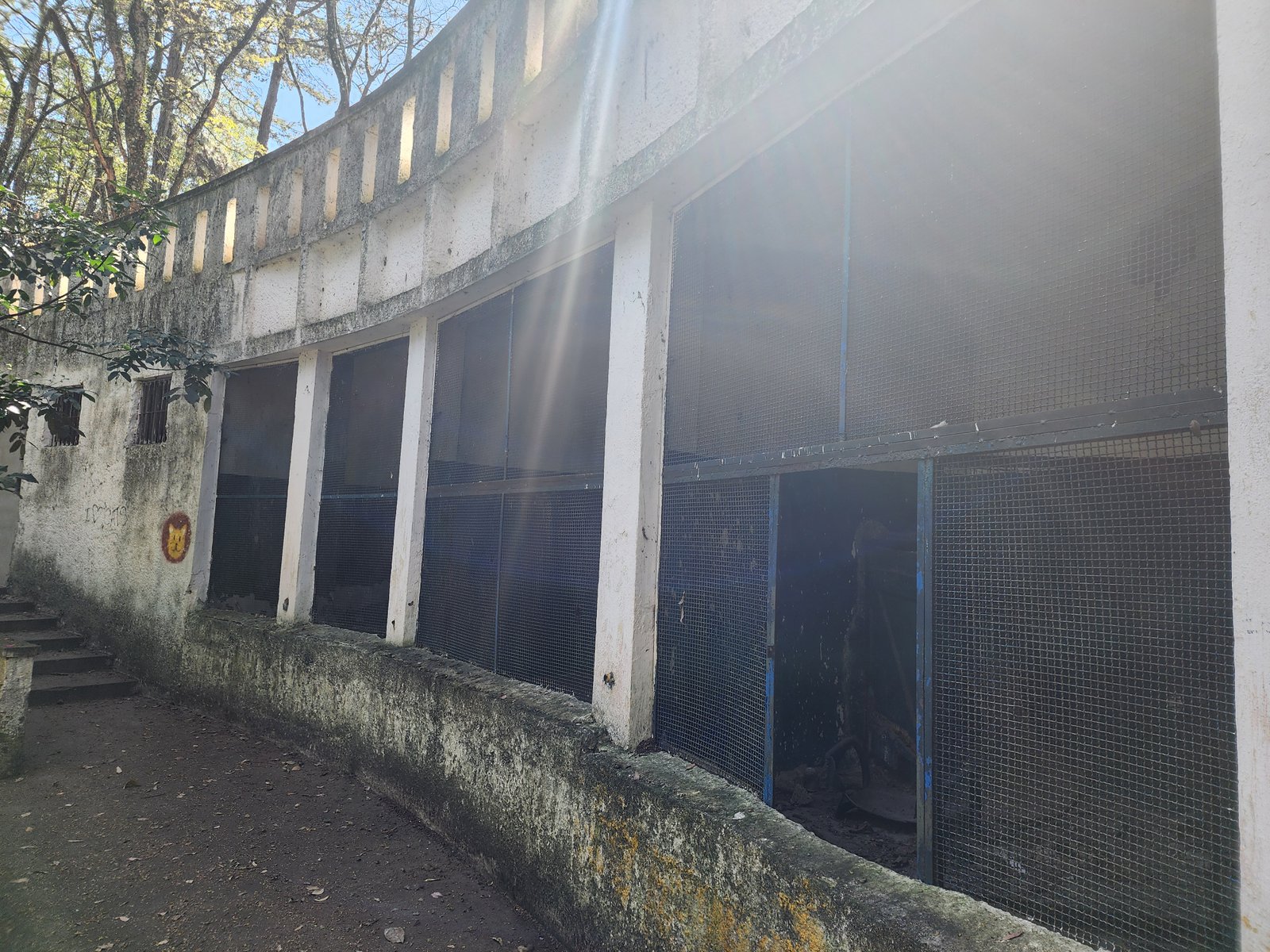 Jaulas abandonadas
