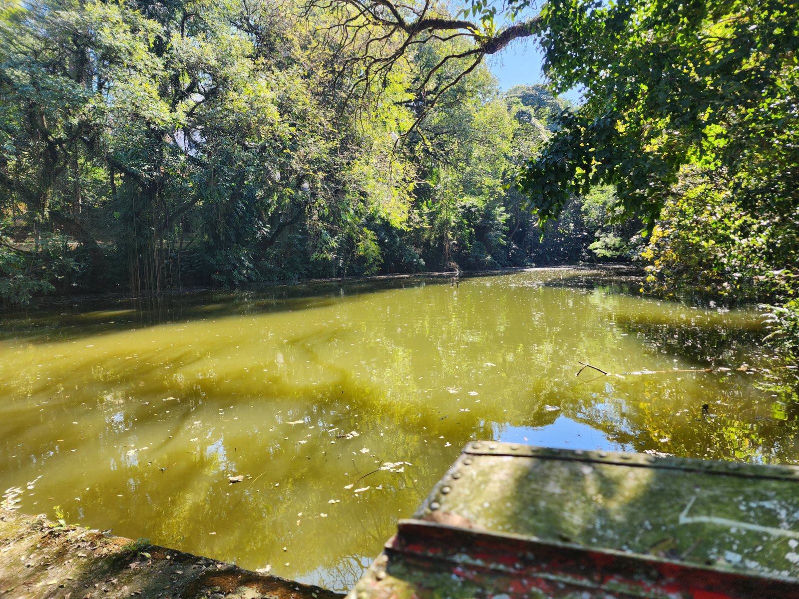 Lago abandonado