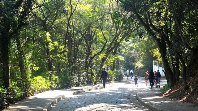 Caminhada no Parque das Hortênsias